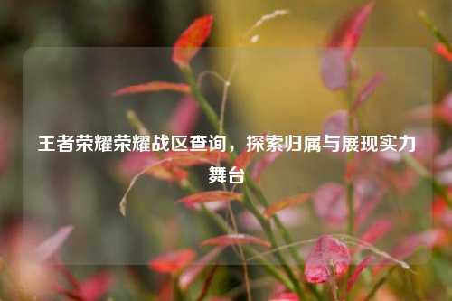 王者荣耀荣耀战区查询，探索归属与展现实力舞台