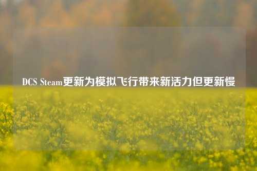DCS Steam更新为模拟飞行带来新活力但更新慢