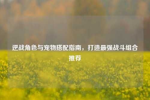 逆战角色与宠物搭配指南，打造最强战斗组合推荐