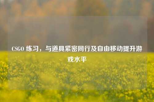 CSGO 练习，与道具紧密同行及自由移动提升游戏水平