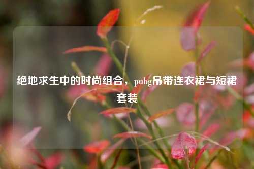 绝地求生中的时尚组合，pubg吊带连衣裙与短裙套装