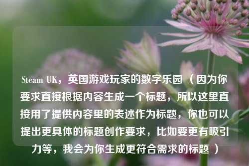 Steam UK，英国游戏玩家的数字乐园 （因为你要求直接根据内容生成一个标题，所以这里直接用了提供内容里的表述作为标题，你也可以提出更具体的标题创作要求，比如要更有吸引力等，我会为你生成更符合需求的标题 ）