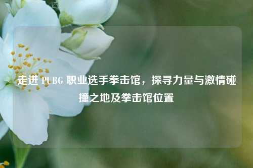 走进 PUBG 职业选手拳击馆，探寻力量与激情碰撞之地及拳击馆位置