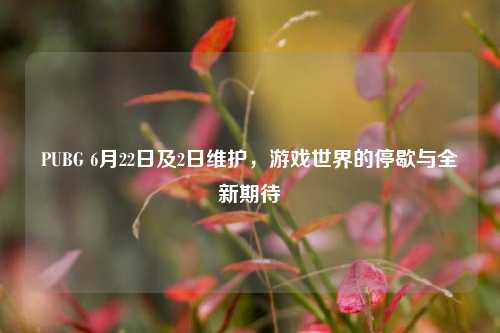 PUBG 6月22日及2日维护，游戏世界的停歇与全新期待