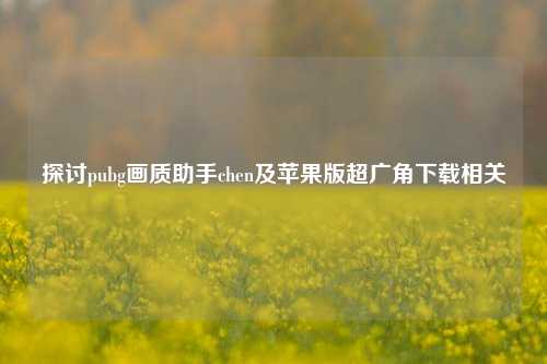 探讨pubg画质助手chen及苹果版超广角下载相关