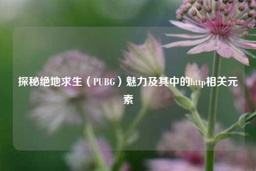 探秘绝地求生（PUBG）魅力及其中的http相关元素