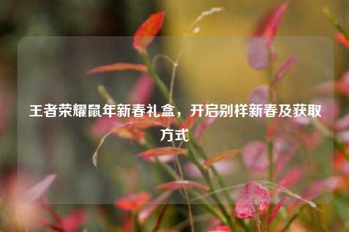 王者荣耀鼠年新春礼盒，开启别样新春及获取方式