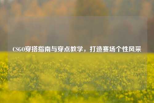 CSGO穿搭指南与穿点教学，打造赛场个性风采