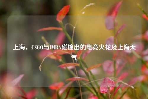 上海,CSGO与IMBA碰撞出的电竞火花及上海天气