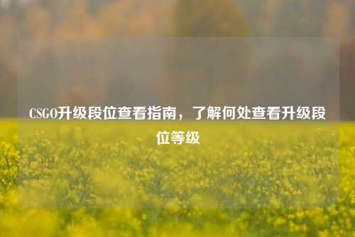CSGO升级段位查看指南，了解何处查看升级段位等级
