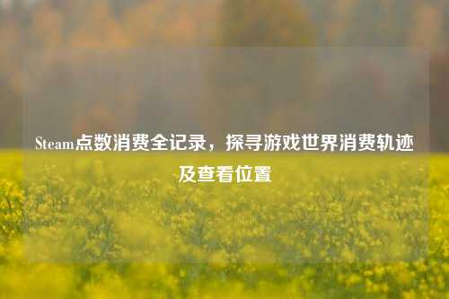 Steam点数消费全记录,探寻游戏世界消费轨迹及查看位置