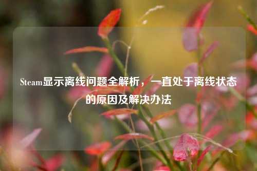 Steam显示离线问题全解析，一直处于离线状态的原因及解决办法