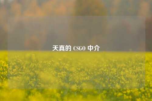 天真的 CSGO 中介