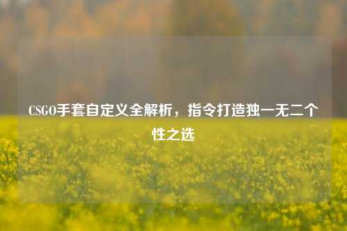 CSGO手套自定义全解析，指令打造独一无二个性之选