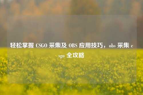 轻松掌握 CSGO 采集及 OBS 应用技巧，obs 采集 csgo 全攻略