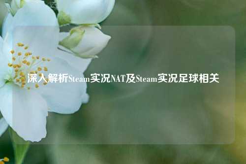 深入解析Steam实况NAT及Steam实况足球相关