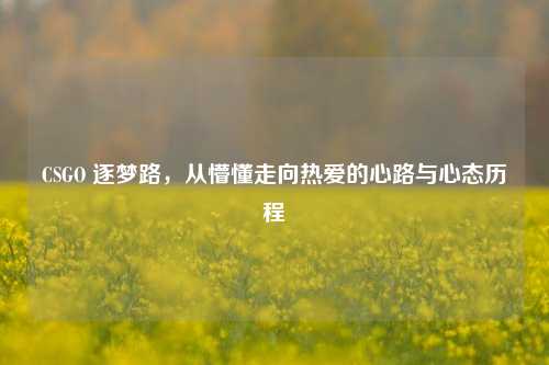 CSGO 逐梦路，从懵懂走向热爱的心路与心态历程