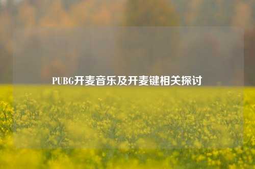 PUBG开麦音乐及开麦键相关探讨