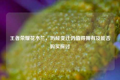 王者荣耀花木兰,历经变迁仍值得拥有及能否购买探讨