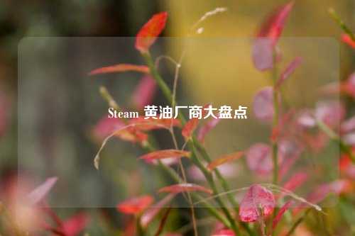 Steam 黄油厂商大盘点