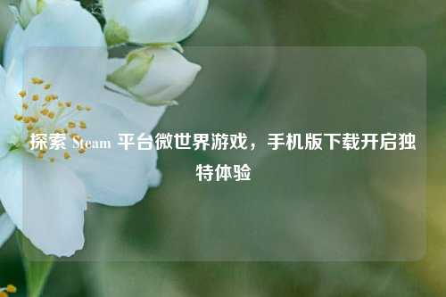 探索 Steam 平台微世界游戏，手机版下载开启独特体验