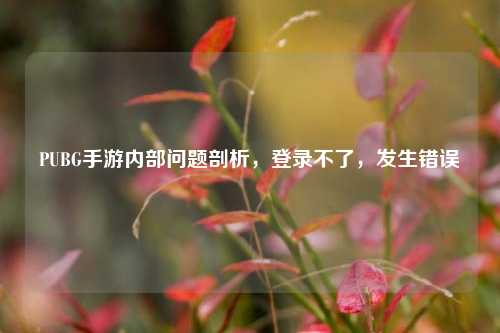 PUBG手游内部问题剖析，登录不了，发生错误