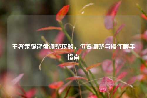 王者荣耀键盘调整攻略，位置调整与操作顺手指南