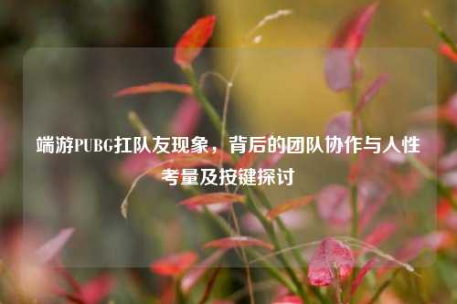 端游PUBG扛队友现象,背后的团队协作与人性考量及按键探讨