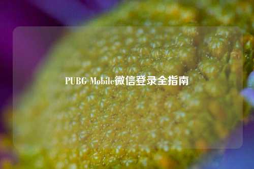 PUBG Mobile微信登录全指南