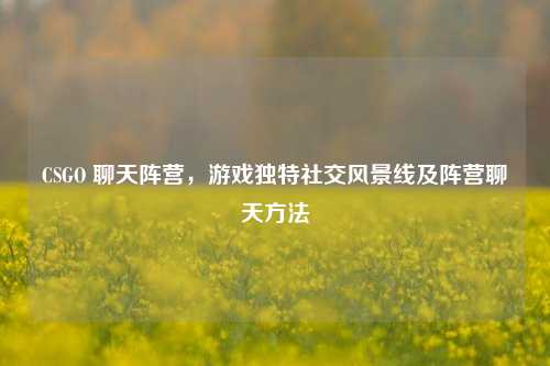 CSGO 聊天阵营,游戏独特社交风景线及阵营聊天方法