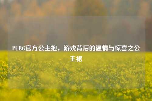 PUBG官方公主抱,游戏背后的温情与惊喜之公主裙