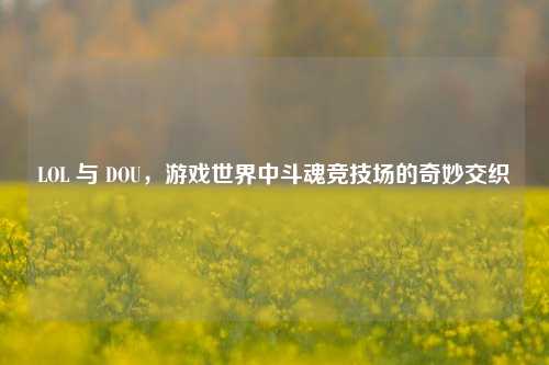 LOL 与 DOU,游戏世界中斗魂竞技场的奇妙交织