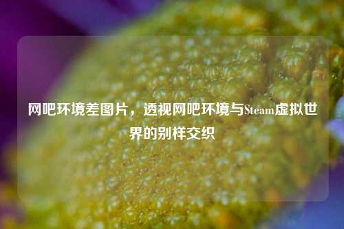 网吧环境差图片，透视网吧环境与Steam虚拟世界的别样交织