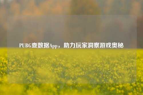 PUBG查数据App，助力玩家洞察游戏奥秘