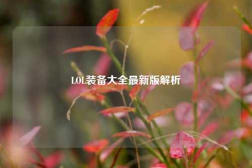 LOL装备大全最新版解析