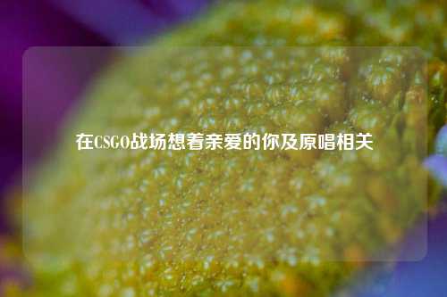 在CSGO战场想着亲爱的你及原唱相关