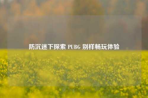 防沉迷下探索 PUBG 别样畅玩体验