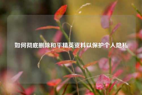 如何彻底删除和平精英资料以保护个人隐私