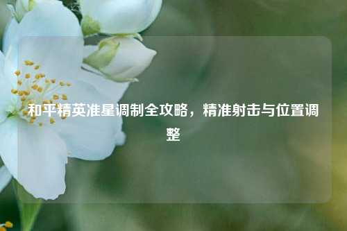 和平精英准星调制全攻略,精准射击与位置调整