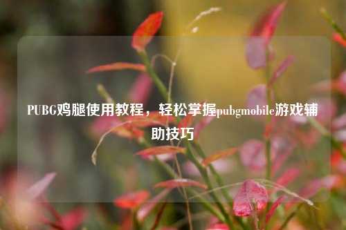 PUBG鸡腿使用教程,轻松掌握pubgmobile游戏辅助技巧