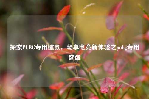探索PUBG专用键鼠,畅享电竞新体验之pubg专用键盘