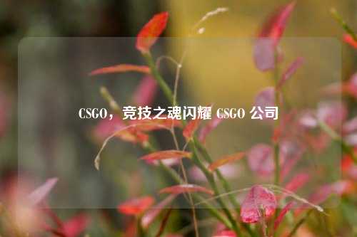 CSGO，竞技之魂闪耀 CSGO 公司