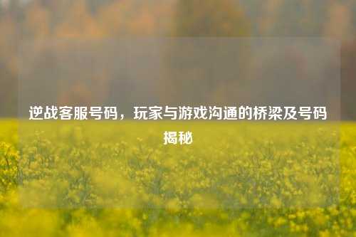逆战客服号码，玩家与游戏沟通的桥梁及号码揭秘