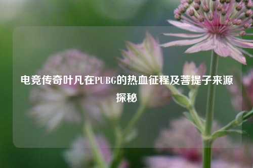 电竞传奇叶凡在PUBG的热血征程及菩提子来源探秘