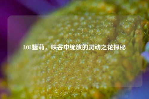 LOL婕莉,峡谷中绽放的灵动之花探秘