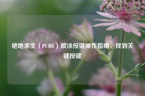 绝地求生(PUBG)喷涂按键操作指南,找到关键按键