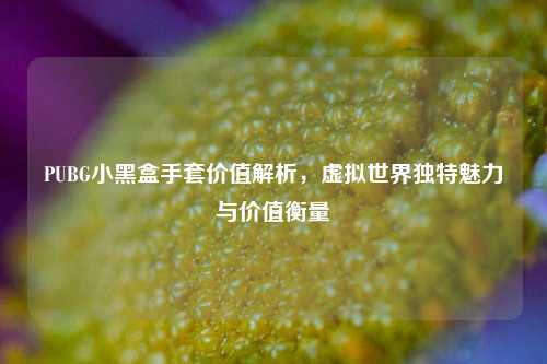 PUBG小黑盒手套价值解析，虚拟世界独特魅力与价值衡量