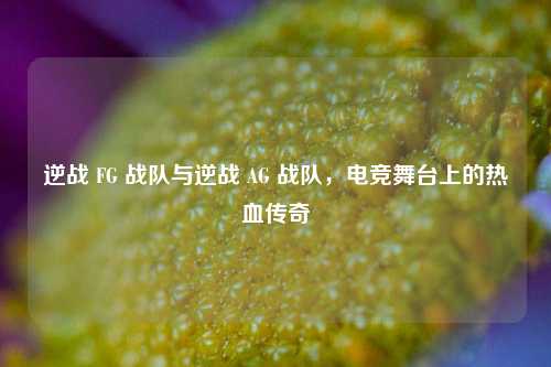 逆战 FG 战队与逆战 AG 战队,电竞舞台上的热血传奇