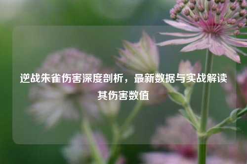 逆战朱雀伤害深度剖析,最新数据与实战解读其伤害数值