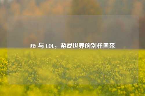 MS 与 LOL,游戏世界的别样风采